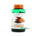 Go Phyto Curcuma Pipérine Bio Articulations