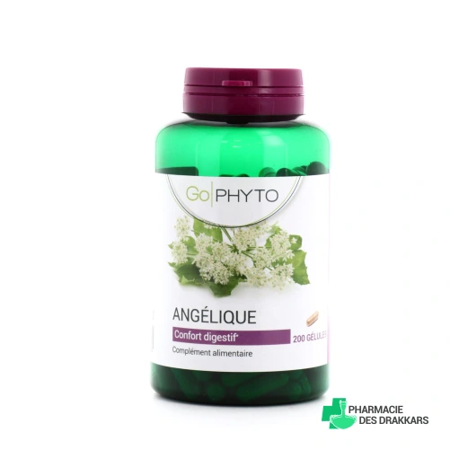 Go Phyto Angélique Confort Digestif