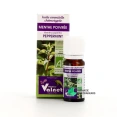 Docteur Valnet Huile Essentielle Menthe Poivrée