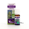 Docteur Valnet Huile Essentielle Térébenthine
