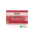 Weleda Maternité Tisane Allaitement Fruits Rouges