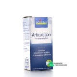 Articulation Harpagophyton - Vue 360°