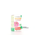 Arkogélules Echinacée Bio