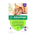 Advantage Pipettes Chat et Lapin