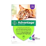 Advantage Pipettes Chat et Lapin - Vue 360°