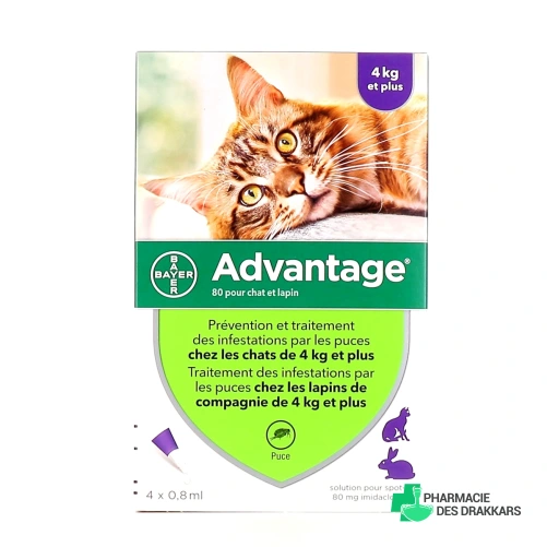 Advantage Pipettes Chat et Lapin