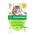 Advantage Pipettes Chat et Lapin