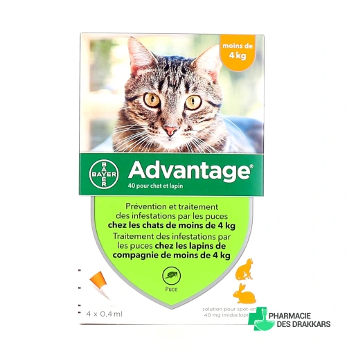 Advantage Pipettes Chat et Lapin