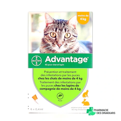 Advantage Pipettes Chat et Lapin