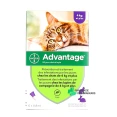 Advantage Pipettes Chat et Lapin