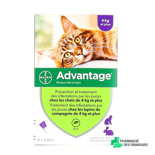 Advantage Pipettes Chat et Lapin