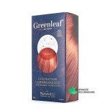 All4Green Coloration 100% Bio Greenleaf - Vue 360°