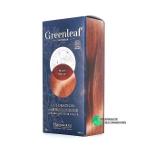 All4Green Coloration 100% Bio Greenleaf - Vue 360°