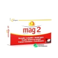 Mag 2 100mg comprimés