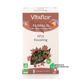 Vitaflor Floralis Tisanes Bio - Vue 360°