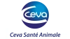 Ceva