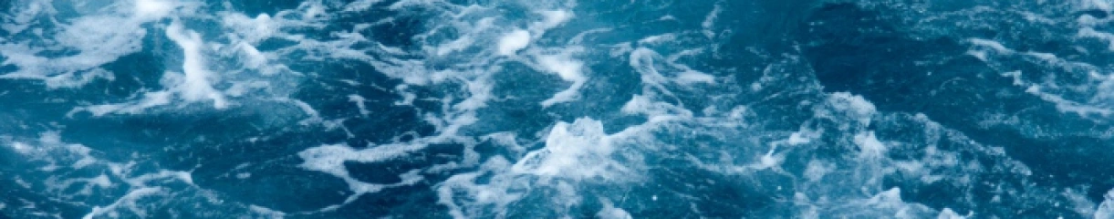 Dielen