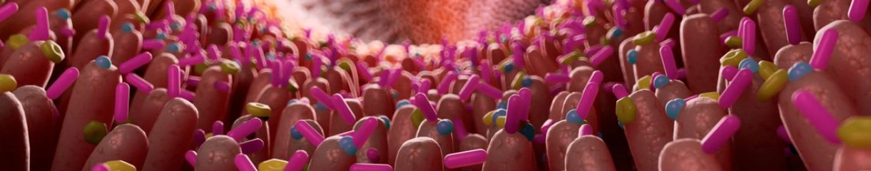 Symbiosys