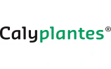 Calyplantes