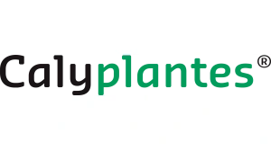 Calyplantes