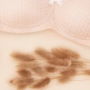 Accessoires et entretien