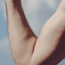 Articulations muscles