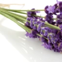Huile essentielle de Lavande vraie et lavande fine