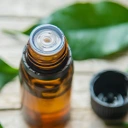 Huile essentielle de Tea tree