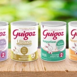 Guigoz 2ème âge 